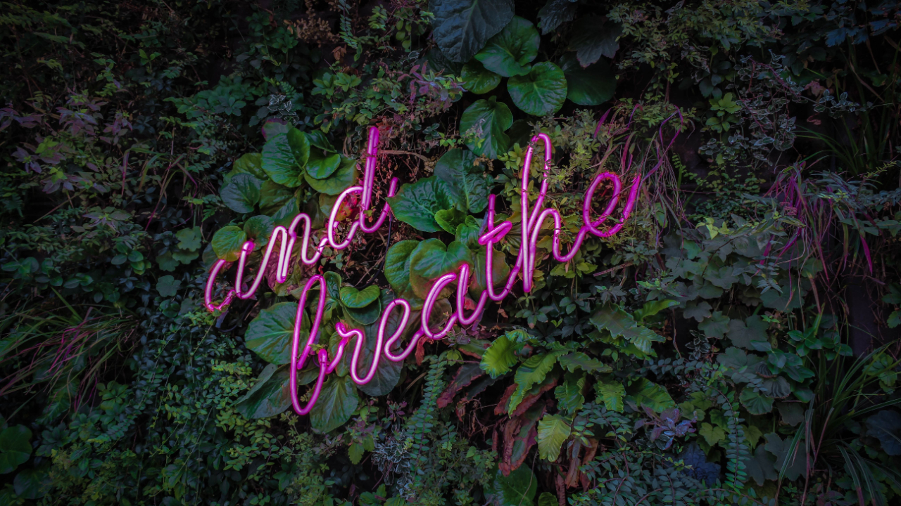 Rediscover Tranquility: Healthy Paths to Inner Peace