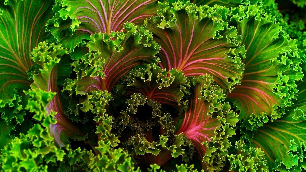 Why are greens so important for my health?