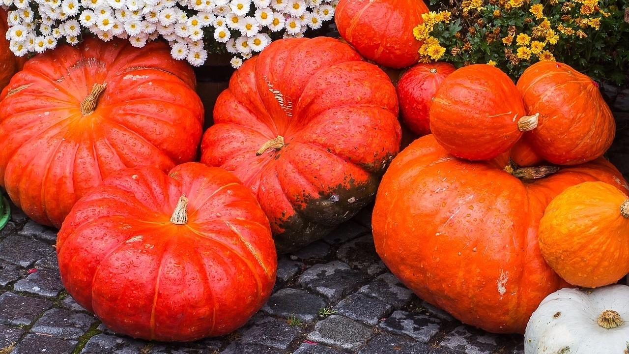 Get Pumped! ...how to select, clean, and cook a pumpkin