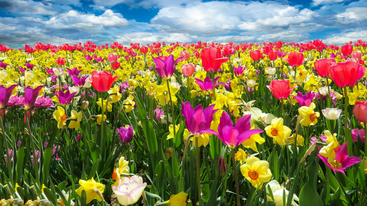 Spring is in the air