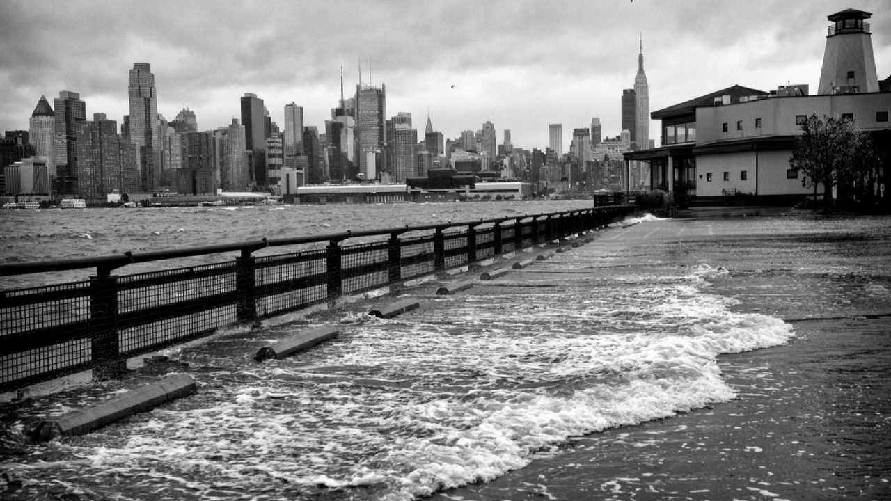 And Speaking Of Hurricane Sandy . . .