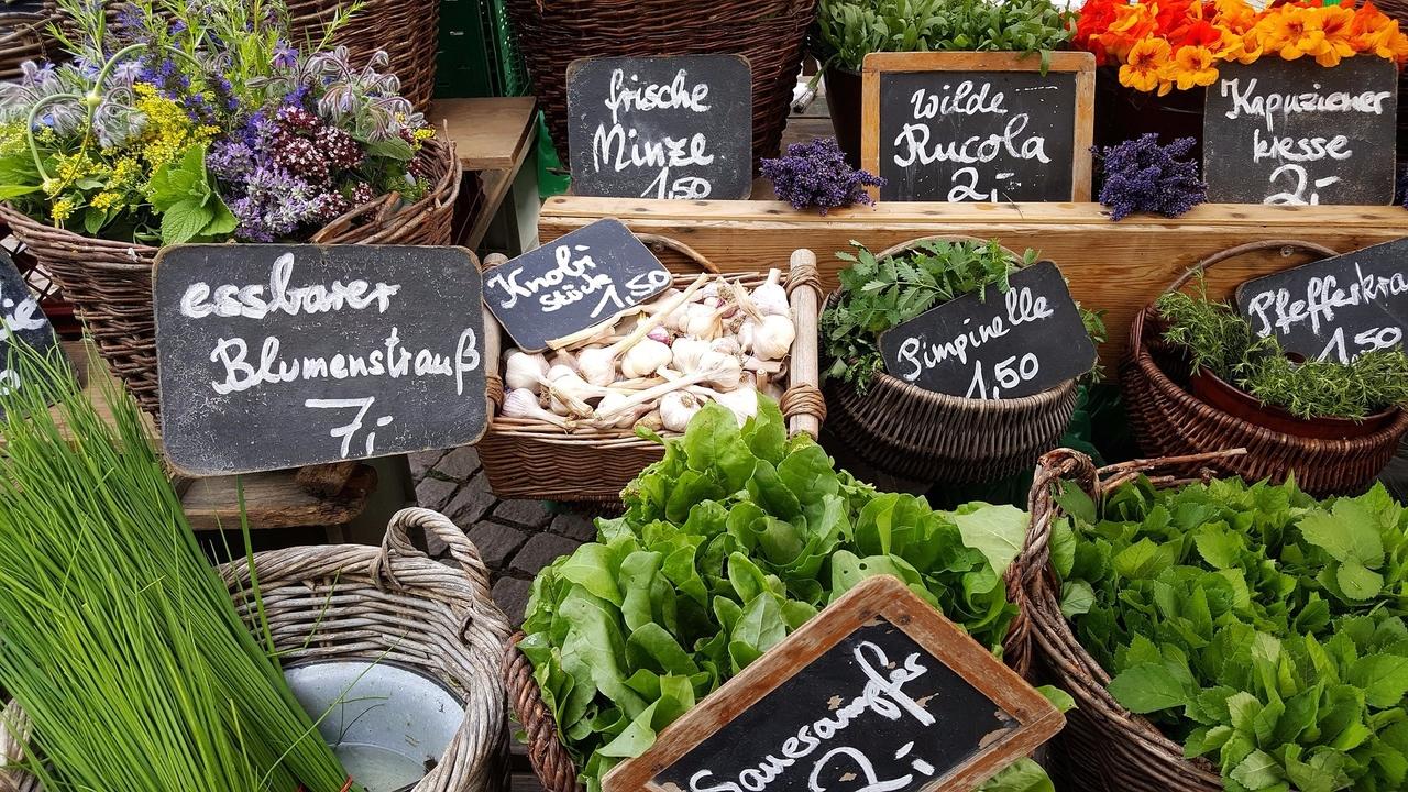 Scrumptious Summer Salad